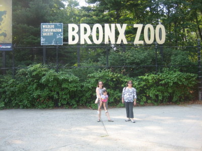 Bronx zoo Front